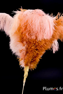 Plumet autruche - 12 plumes - crème-miel champagne-saumon rosé-cognac